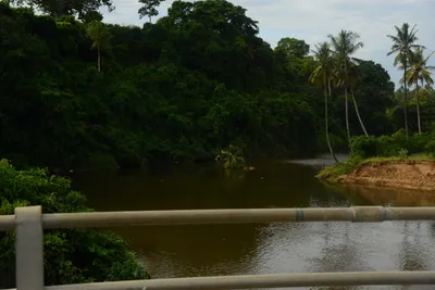 DSC_8734 (Large).JPG